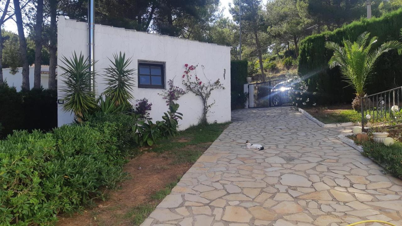 Ferienwohnung Mit Privat-Pool Alcossebre Extérieur photo