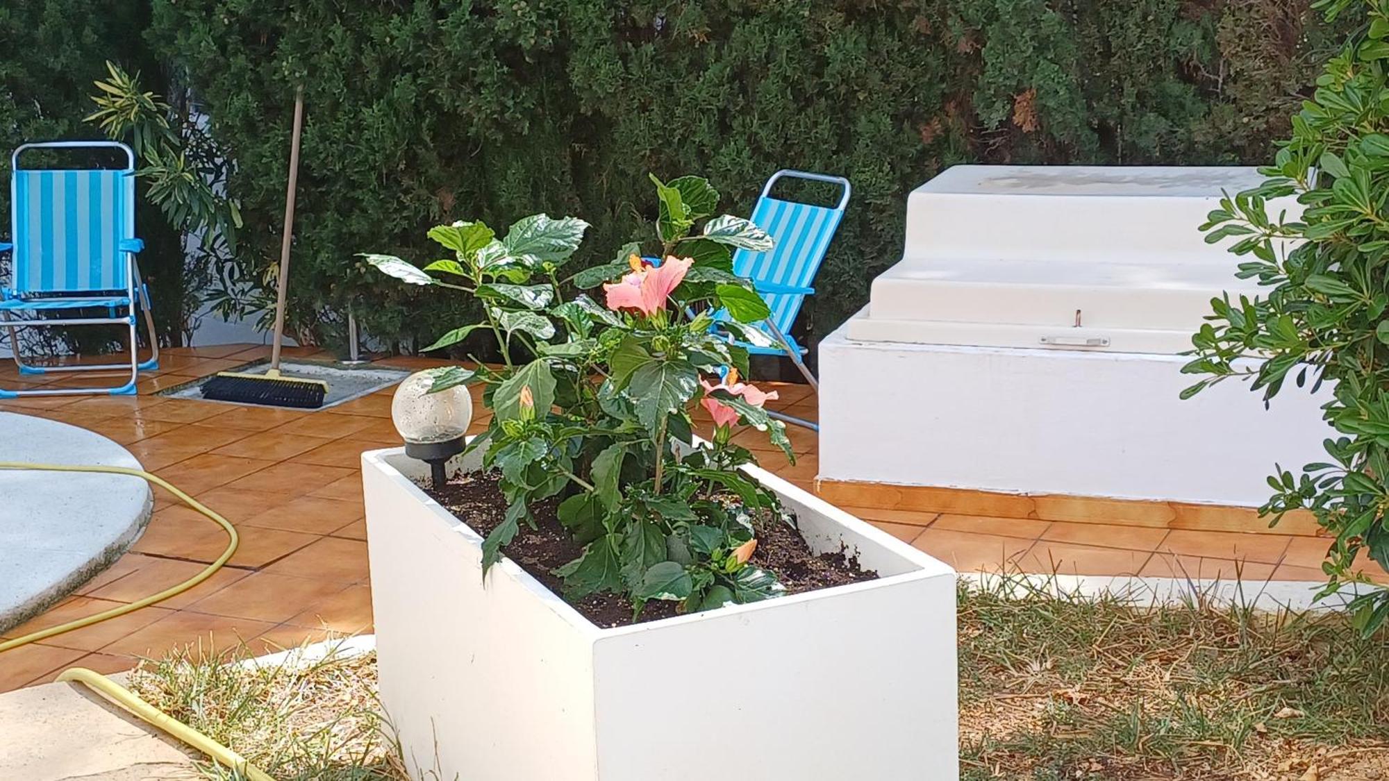 Ferienwohnung Mit Privat-Pool Alcossebre Extérieur photo